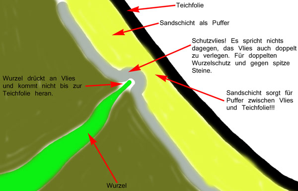 read polar cap boundary phenomena