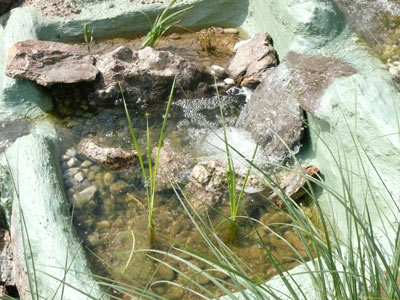 Die Wasserfallbecken mit Steinen unterteilen