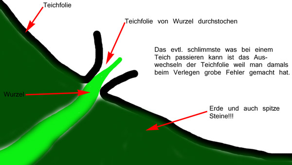 Ohne Schutzvlies wird die Teichfolie schnell undicht