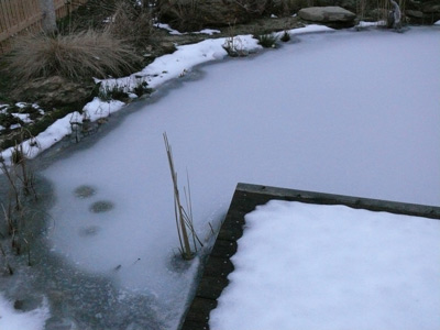Im Winter ist stille Ruhe am Teich angesagt